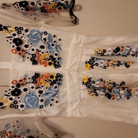 Floral Embroidered Sheer Dress - Picture 3 of 4